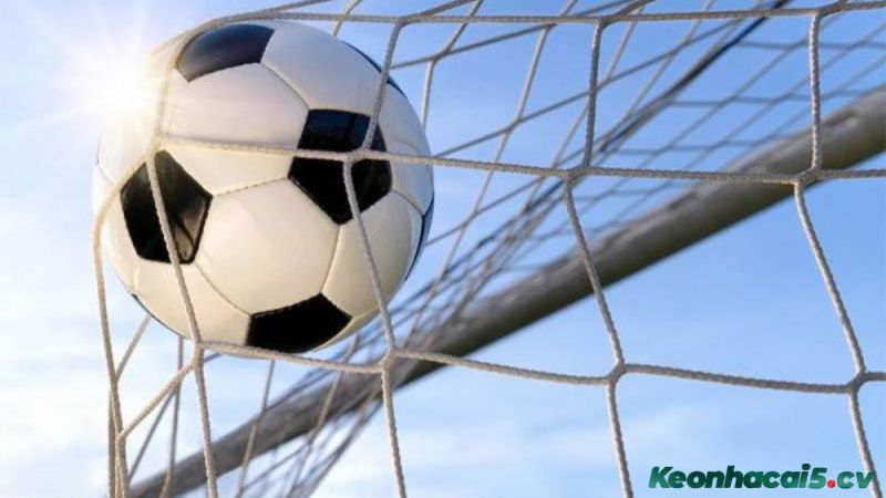 Điểm nổi bật của kèo rung so với các loại kèo thường Điểm nổi bật của kèo rung so với các loại kèo thường