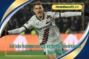Đội hình dự kiến trước trận Hamburger SV vs Bayer Leverkusen