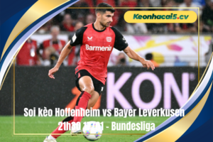Đội hình dự kiến trước trận Hoffenheim vs Bayer Leverkusen