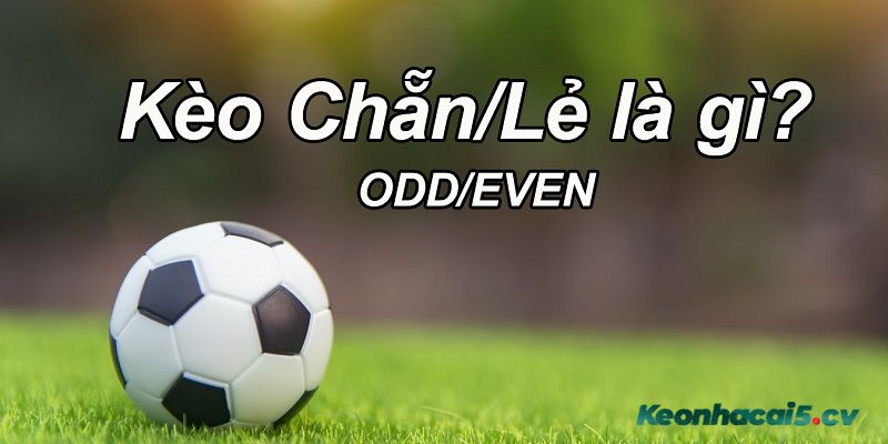 Kèo chẵn lẻ là gì? Kèo chẵn lẻ là gì?