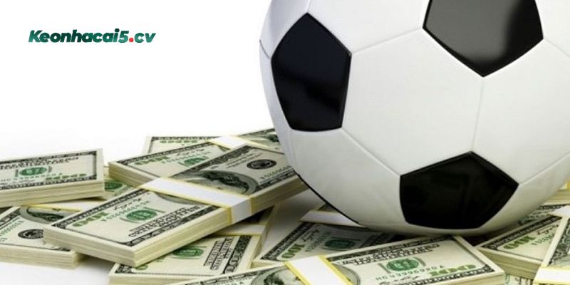 Bỏ túi mẹo đọc kèo cực hay ít người biết Bỏ túi mẹo đọc kèo cực hay ít người biết