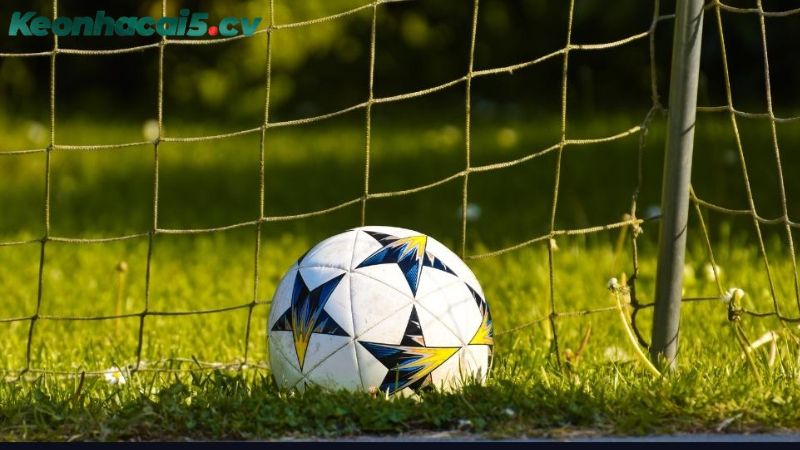 Cách đọc kèo chuẩn và ví dụ thực chiến cho anh em Cách đọc kèo chuẩn và ví dụ thực chiến cho anh em