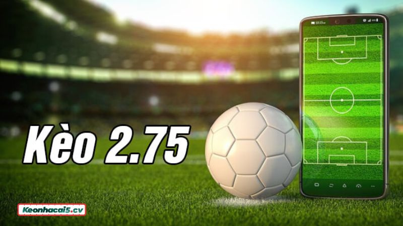 Cách đọc kèo cược chấp 2.75 Cách đọc kèo cược chấp 2.75