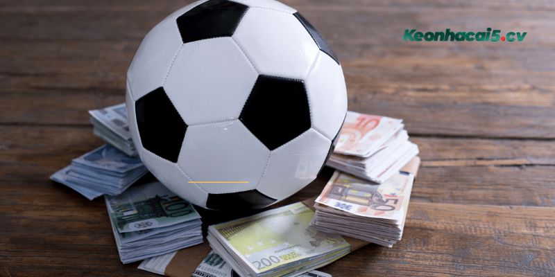 Cách phân biệt kèo Indonesia cực dễ cho tân thủ Cách phân biệt kèo Indonesia cực dễ cho tân thủ