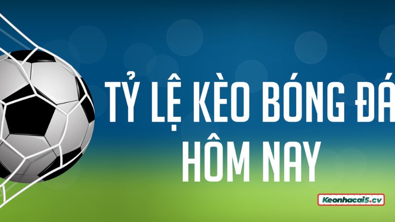 Cập nhật bảng kèo bóng đá trực tuyến có thể quyết định vấn đề thắng thua khi chơi