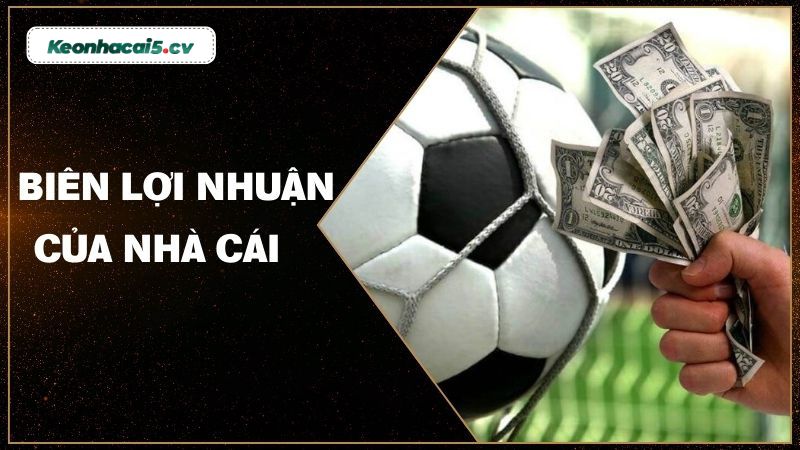 Hiểu đúng về biên lợi nhuận của nhà cái Hiểu đúng về biên lợi nhuận của nhà cái