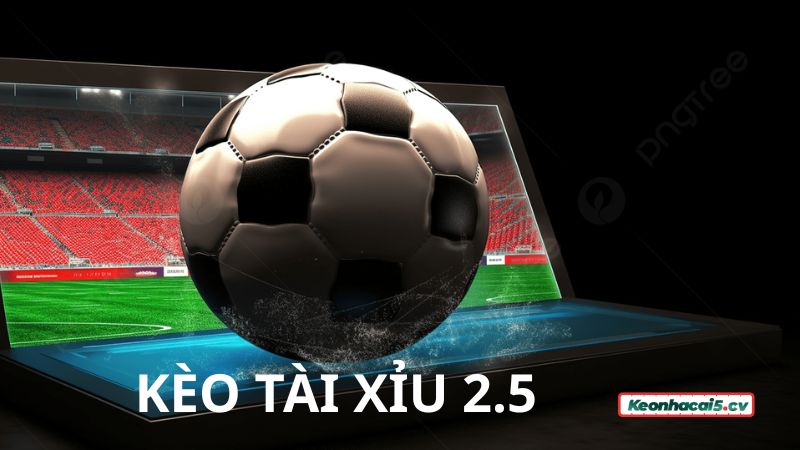 Kèo 2.5 mang đến sự kịch tính, hấp dẫn cho người chơi khi trải nghiệm Kèo 2.5 mang đến sự kịch tính, hấp dẫn cho người chơi khi trải nghiệm