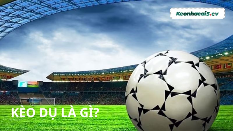 Kèo dụ là gì? Kèo dụ là gì?