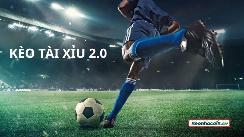 Luật chơi kèo Tài Xỉu 2 trái Luật chơi kèo Tài Xỉu 2 trái