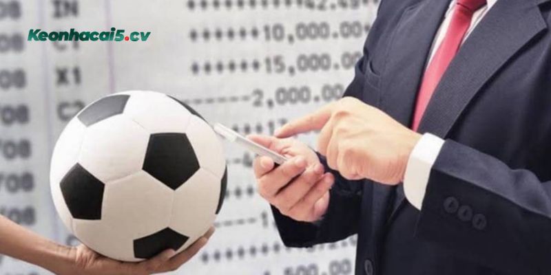 Top lý do nên lựa chọn cá cược tại địa chỉ uy tín Top lý do nên lựa chọn cá cược tại địa chỉ uy tín