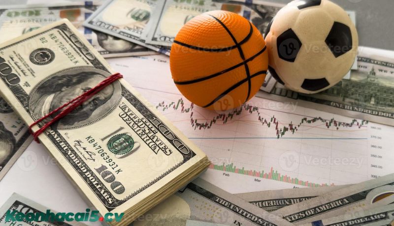 Những lưu ý quan trọng để không bị "lạc lối" Những lưu ý quan trọng để không bị "lạc lối"