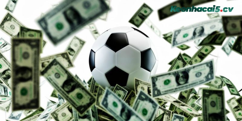 Bỏ túi kinh nghiệm chọn cược hiệu quả nhất từ cao thủ Bỏ túi kinh nghiệm chọn cược hiệu quả nhất từ cao thủ