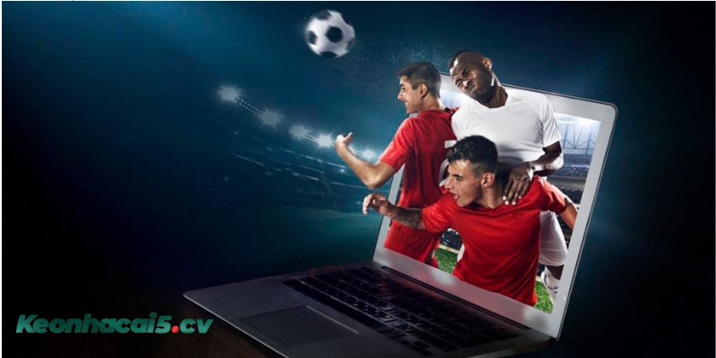 Cách soi kèo 1/2 bóng đá Cách soi kèo 1/2 bóng đá