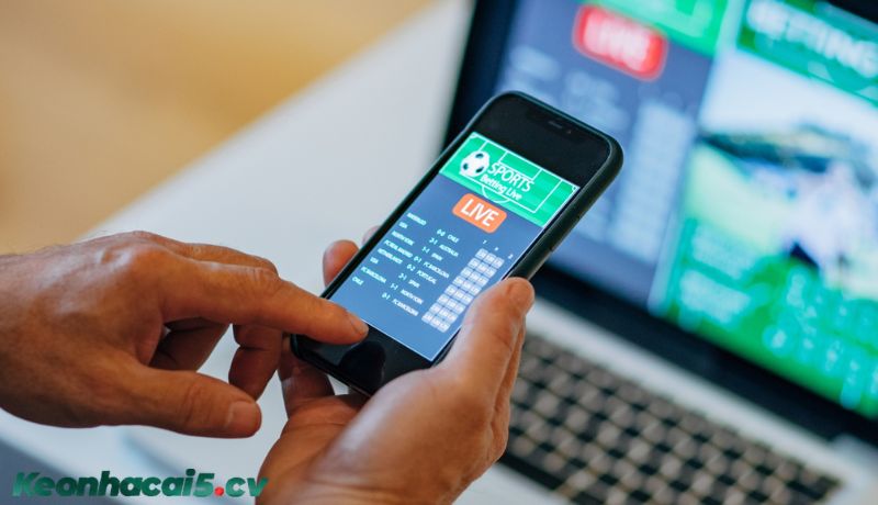 Thua nửa tiền xảy ra khi nào? Thua nửa tiền xảy ra khi nào?