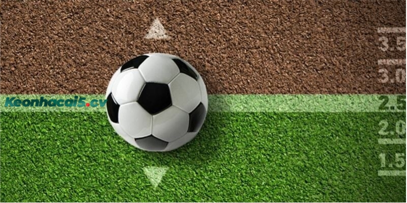 Hướng dẫn cách soi kèo tài xỉu cả trận cho người mới Hướng dẫn cách soi kèo tài xỉu cả trận cho người mới