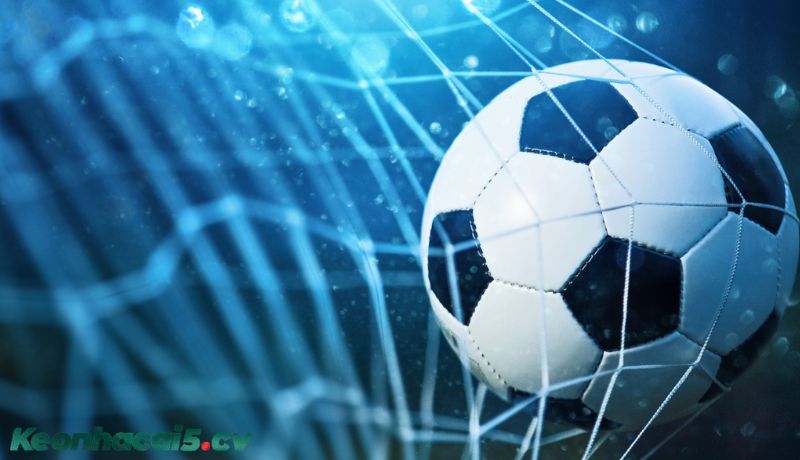 Cấu trúc cơ bản của một bảng kèo trực tuyến Cấu trúc cơ bản của một bảng kèo trực tuyến