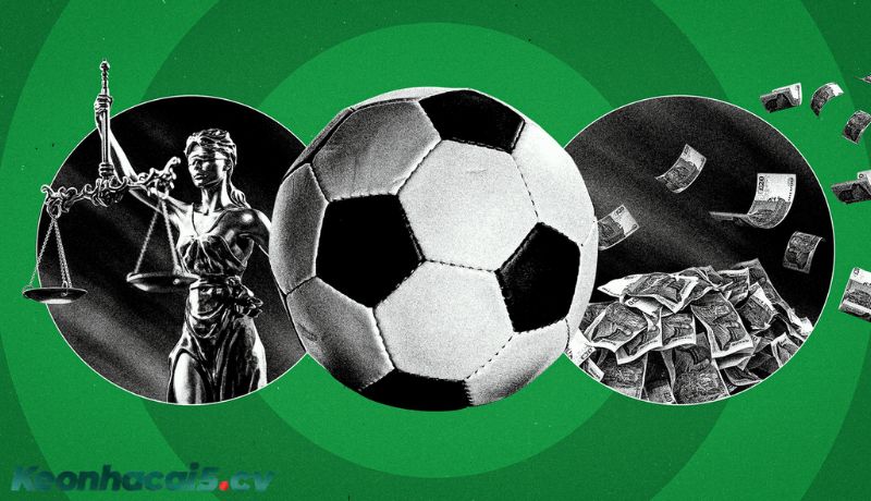 Những sai lầm phổ biến khi theo dõi bảng kèo Những sai lầm phổ biến khi theo dõi bảng kèo