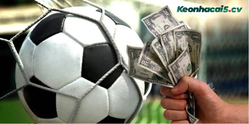 Tổng hợp những sai lầm khi chơi cá cược bóng đá Tổng hợp những sai lầm khi chơi cá cược bóng đá